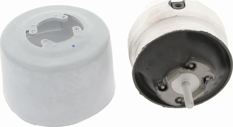 Corteco 80000010 - Sospensione, Motore www.autoricambi360.it