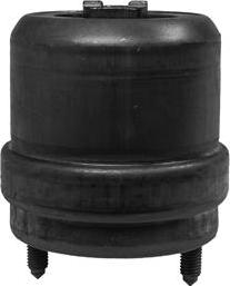 Corteco 80000889 - Sospensione, Motore www.autoricambi360.it