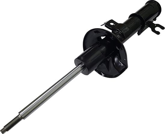 CTR GY0295G - Ammortizzatore www.autoricambi360.it