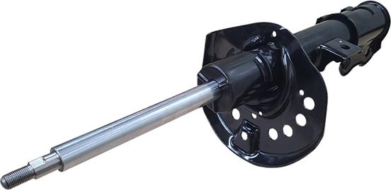 CTR GY0724G - Ammortizzatore www.autoricambi360.it