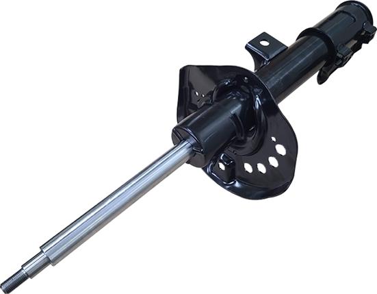 CTR GY0722G - Ammortizzatore www.autoricambi360.it