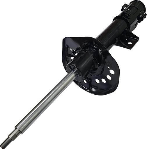 CTR GY1299G - Ammortizzatore www.autoricambi360.it