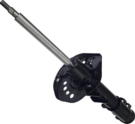 CTR GY1296G - Ammortizzatore www.autoricambi360.it
