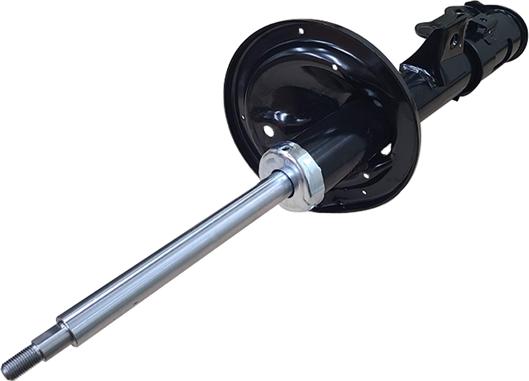 CTR GY1204G - Ammortizzatore www.autoricambi360.it
