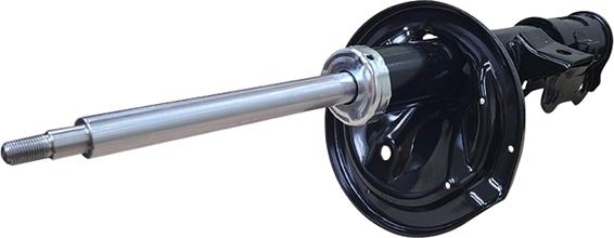 CTR GY1202G - Ammortizzatore www.autoricambi360.it