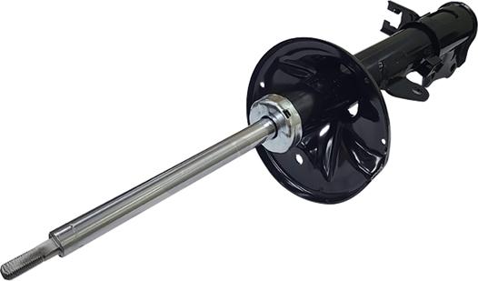 CTR GY1236G - Ammortizzatore www.autoricambi360.it