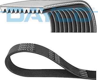 DAYCO 10PK1465HD - Cinghia Poly-V www.autoricambi360.it