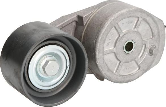 DAYCO APV1048 - Tendicinghia, Cinghia Poly-V www.autoricambi360.it