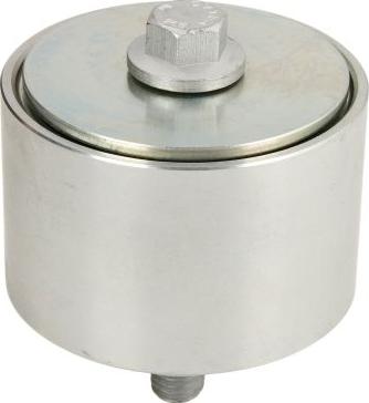 DAYCO APV1060 - Galoppino / Guidacinghia, Cinghia Poly-V www.autoricambi360.it