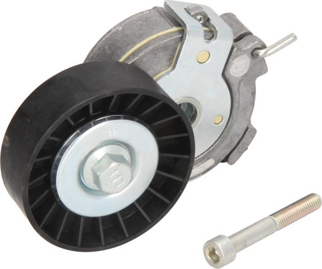 DAYCO APV1002 - Tendicinghia, Cinghia Poly-V www.autoricambi360.it