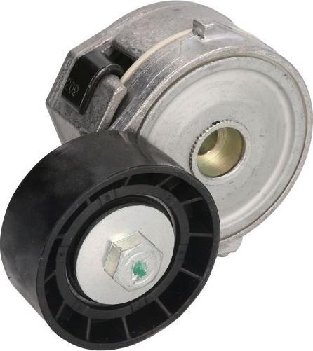 DAYCO APV1030 - Tendicinghia, Cinghia Poly-V www.autoricambi360.it