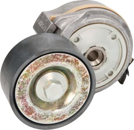 DAYCO APV1134 - Tendicinghia, Cinghia Poly-V www.autoricambi360.it