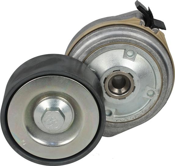 DAYCO APV1128 - Tendicinghia, Cinghia Poly-V www.autoricambi360.it