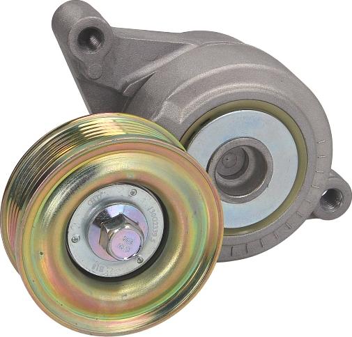 DAYCO APV3005 - Tendicinghia, Cinghia Poly-V www.autoricambi360.it