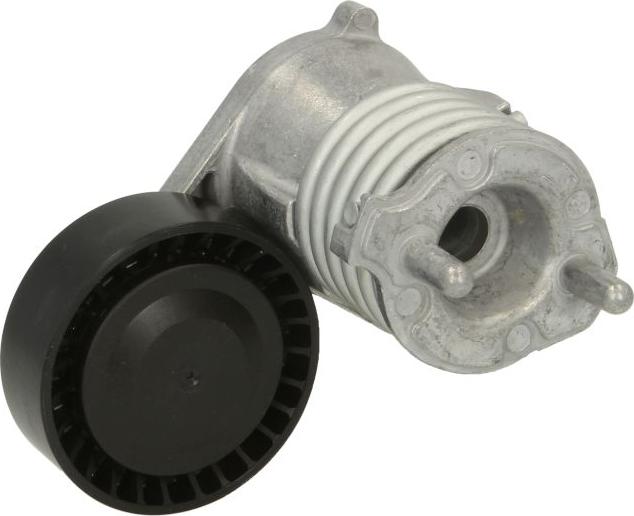 DAYCO APV3019 - Tendicinghia, Cinghia Poly-V www.autoricambi360.it