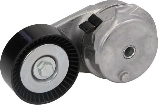 DAYCO APV2959 - Tendicinghia, Cinghia Poly-V www.autoricambi360.it