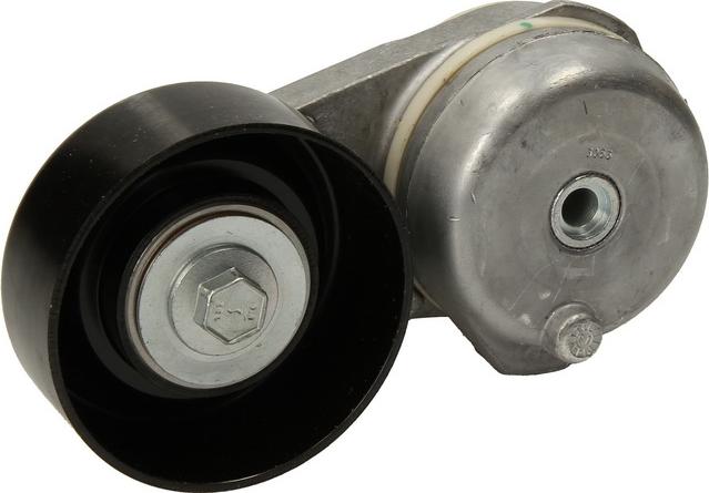 DAYCO APV2447 - Tendicinghia, Cinghia Poly-V www.autoricambi360.it
