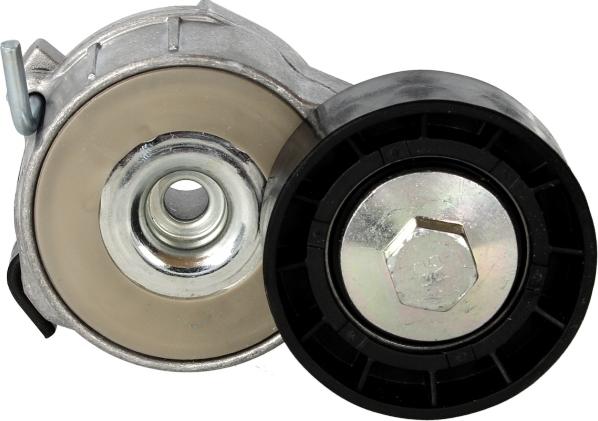 DAYCO APV2463 - Tendicinghia, Cinghia Poly-V www.autoricambi360.it