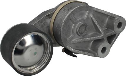 DAYCO APV2400 - Tendicinghia, Cinghia Poly-V www.autoricambi360.it