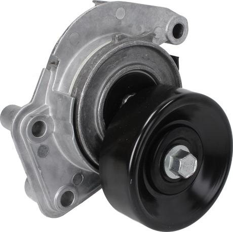 DAYCO APV2483 - Tendicinghia, Cinghia Poly-V www.autoricambi360.it