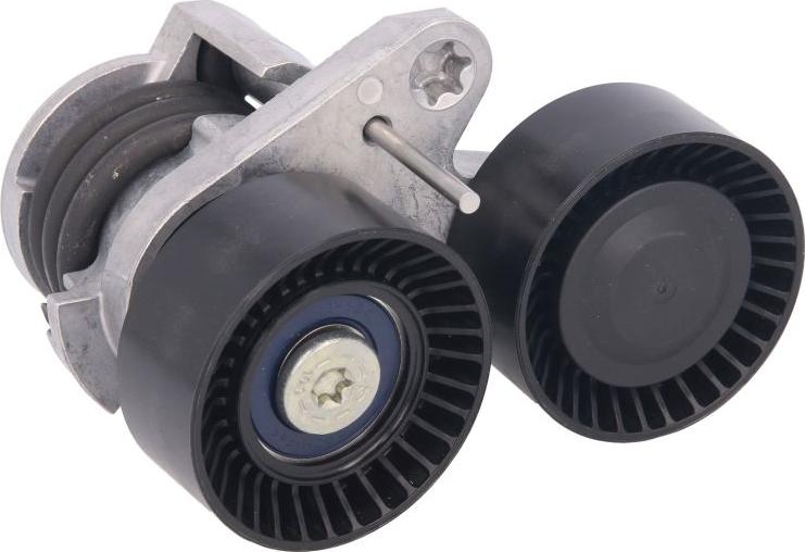 Dayco APV2674 - Tendicinghia, Cinghia Poly-V www.autoricambi360.it