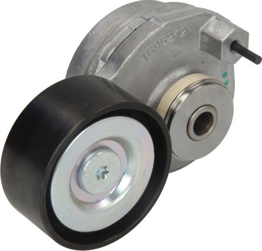 DAYCO APV2813 - Tendicinghia, Cinghia Poly-V www.autoricambi360.it
