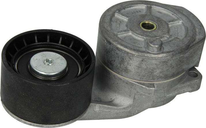 DAYCO APV2736 - Tendicinghia, Cinghia Poly-V www.autoricambi360.it