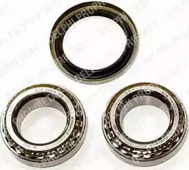 Delphi BK432 - Kit cuscinetto ruota www.autoricambi360.it