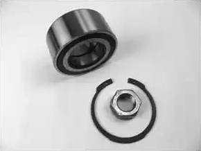 Delphi BK1596 - Kit cuscinetto ruota www.autoricambi360.it