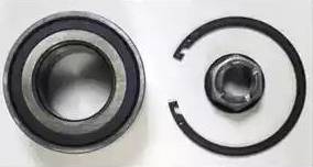 Delphi BK1669 - Kit cuscinetto ruota www.autoricambi360.it