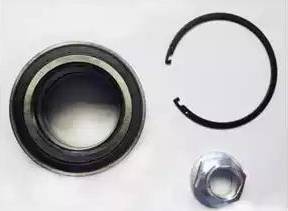 Delphi BK1631 - Kit cuscinetto ruota www.autoricambi360.it