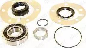 Delphi BK359 - Kit cuscinetto ruota www.autoricambi360.it