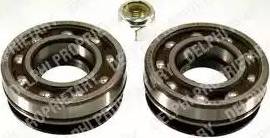Delphi BK293 - Kit cuscinetto ruota www.autoricambi360.it