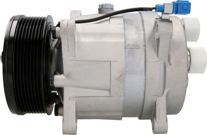 Delphi CS10094-12B1 - Compressore, Climatizzatore www.autoricambi360.it