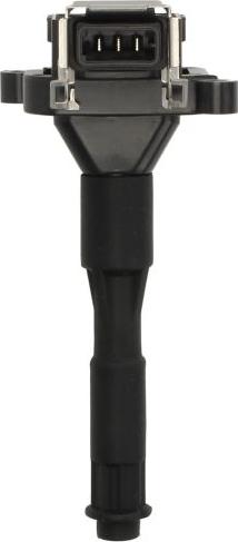 Delphi GN10016-12B1 - Bobina d'accensione www.autoricambi360.it