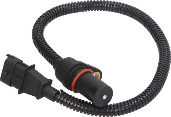 Delphi SS11049 - Generatore di impulsi, Albero a gomiti www.autoricambi360.it