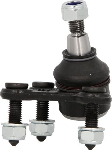 Delphi TC1317 - Giunto di supporto / guida www.autoricambi360.it