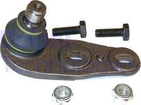 Delphi TC348-11B1 - Giunto di supporto / guida www.autoricambi360.it