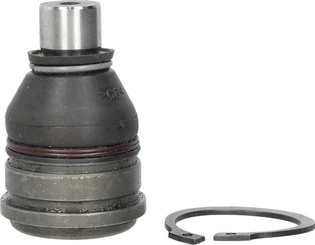 Delphi TC2164 - Giunto di supporto / guida www.autoricambi360.it