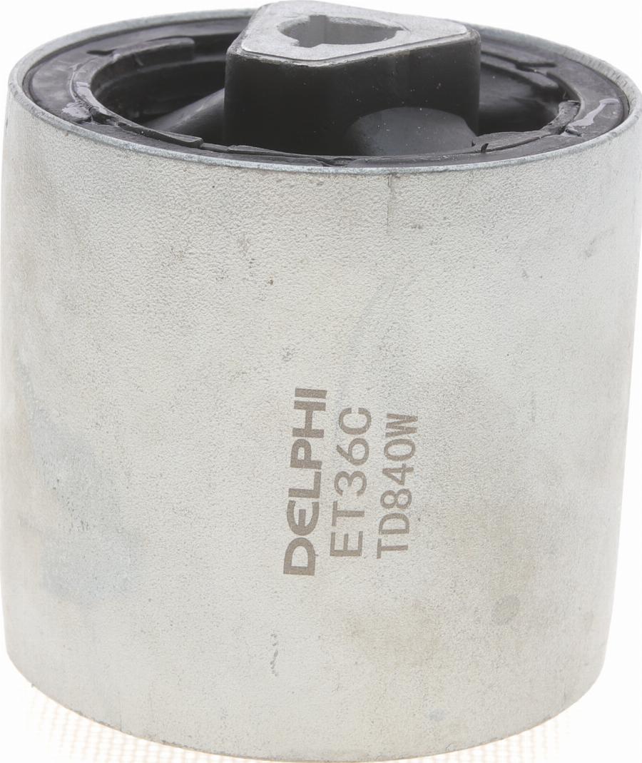 Delphi TD840W - Supporto, Braccio oscillante www.autoricambi360.it