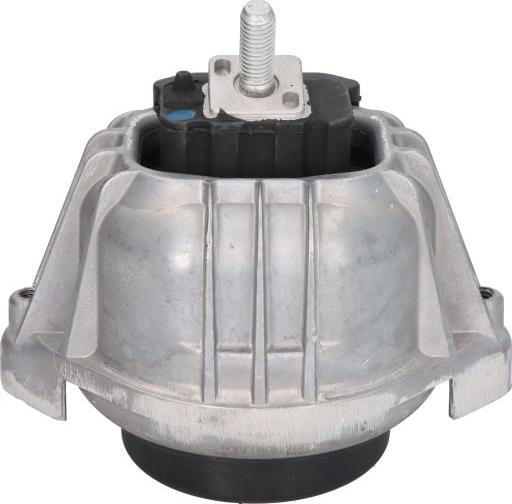 Delphi TEM099 - Sospensione, Motore www.autoricambi360.it
