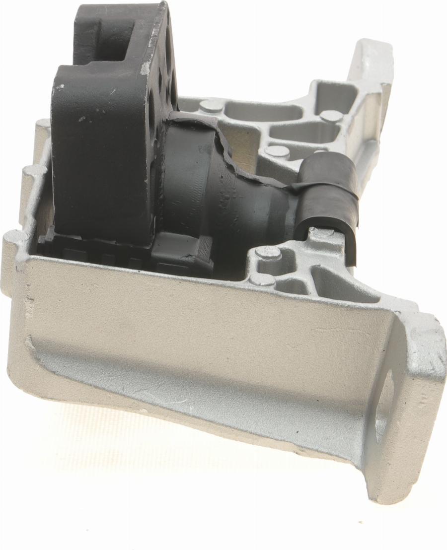 Delphi TEM096 - Sospensione, Motore www.autoricambi360.it