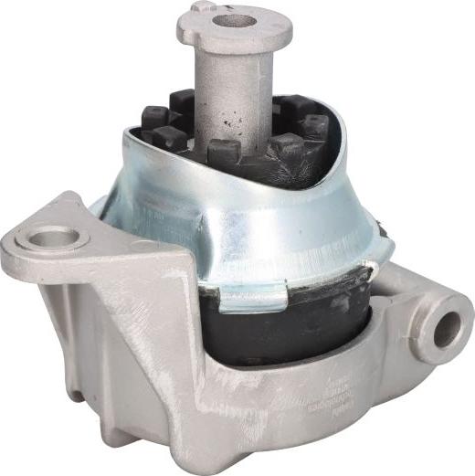 Delphi TEM090 - Sospensione, Motore www.autoricambi360.it