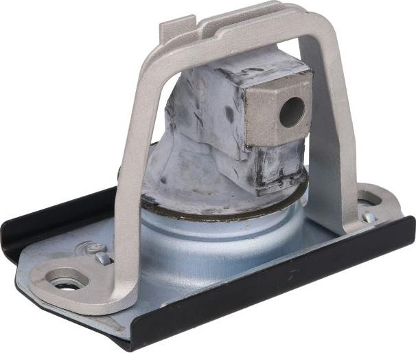 Delphi TEM043 - Sospensione, Motore www.autoricambi360.it