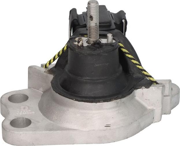 Delphi TEM008 - Sospensione, Motore www.autoricambi360.it