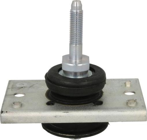 Delphi TEM026 - Sospensione, Motore www.autoricambi360.it
