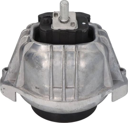 Delphi TEM100 - Sospensione, Motore www.autoricambi360.it