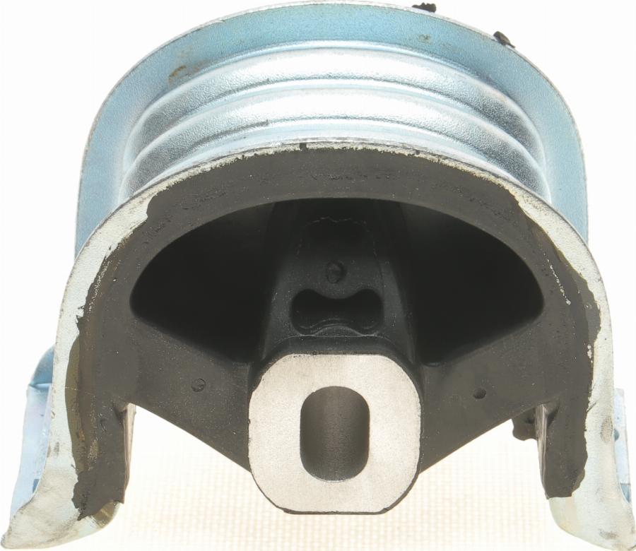 Delphi TEM125 - Sospensione, Motore www.autoricambi360.it