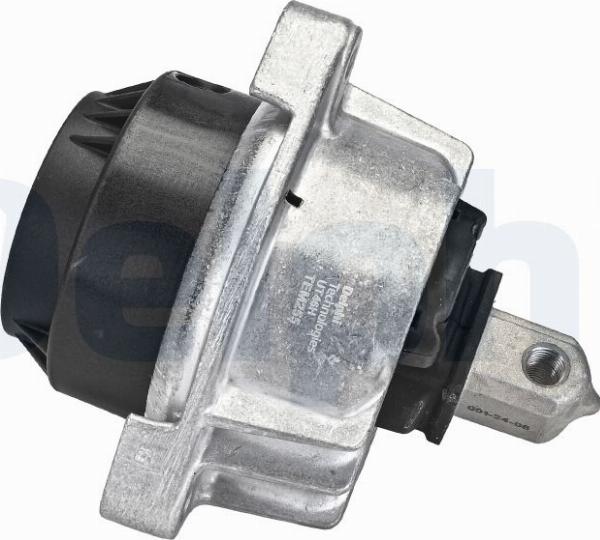 Delphi TEM255 - Sospensione, Motore www.autoricambi360.it