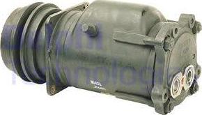Delphi TSP0155029 - Compressore, Climatizzatore www.autoricambi360.it